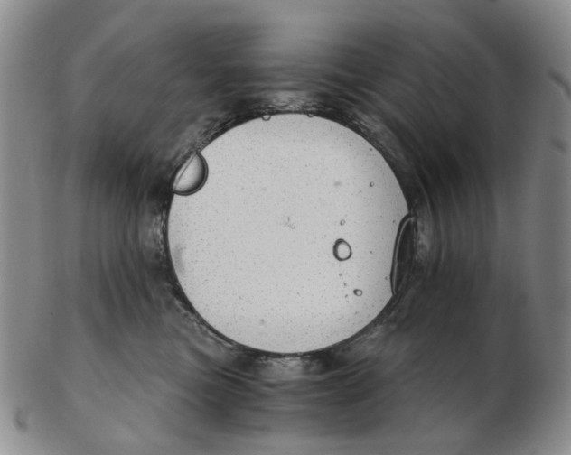 X0000102770473200809081009