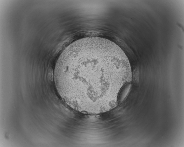 X0000102770474200809081009