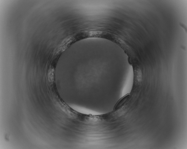 X0000102770475200809081009