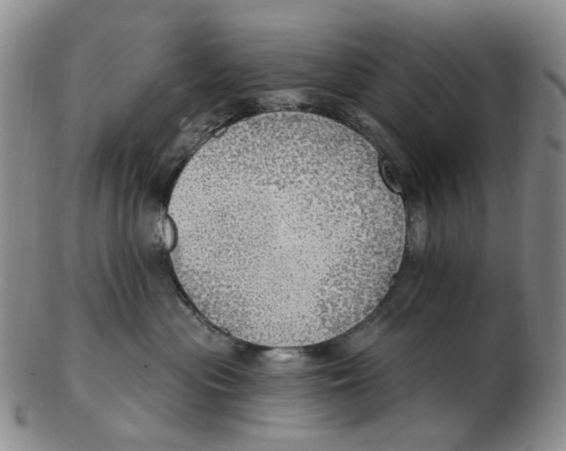 X0000102770477200809081009