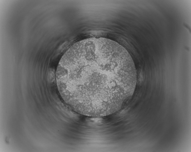 X0000102770478200809081009