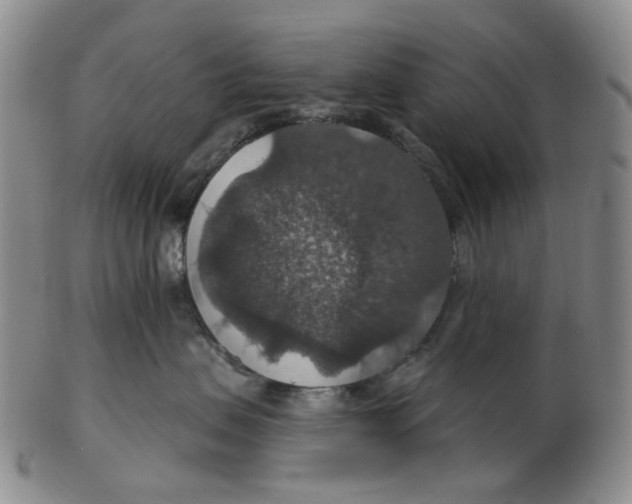 X0000102770479200809081009