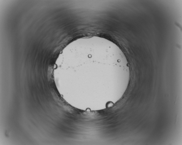 X0000102770480200809081009