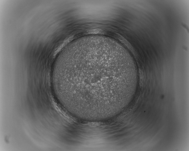 X0000102770482200809081008