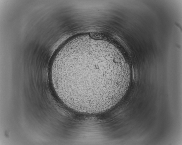 X0000102770483200809081008