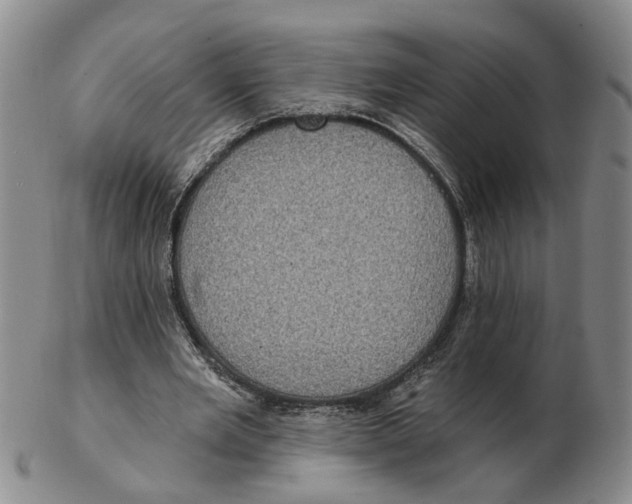 X0000102770485200809081008