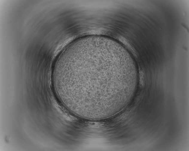 X0000102770486200809081008