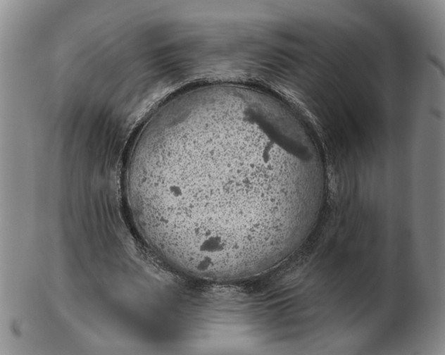 X0000102770487200809081008