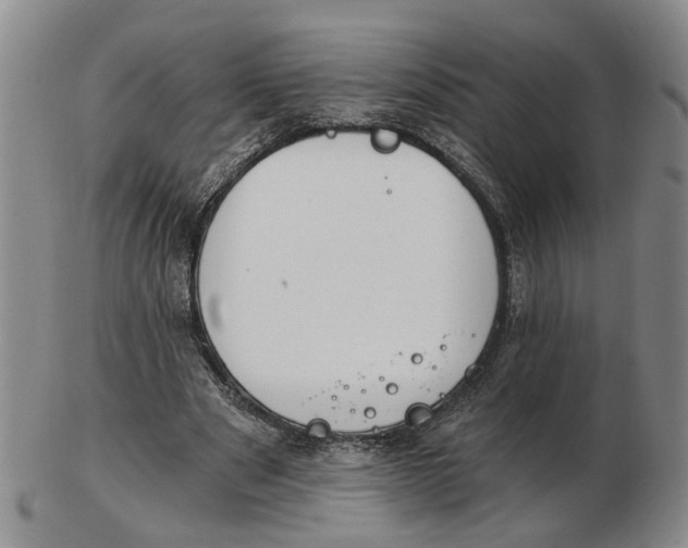 X0000102770489200809081008