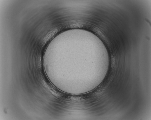 X0000102770490200809081008