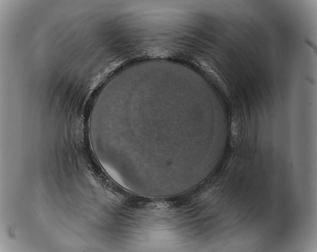 X0000102770492200809081008