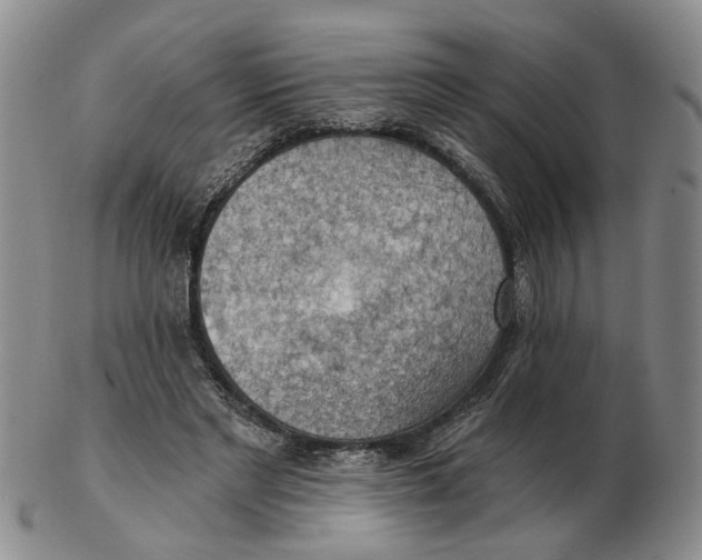 X0000102770493200809081008