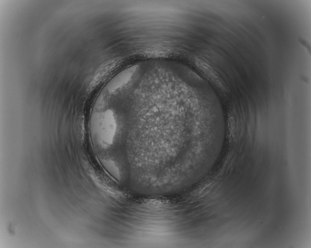 X0000102770494200809081008