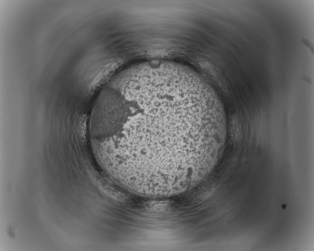 X0000102770495200809081008