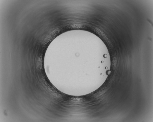 X0000102770497200809081008