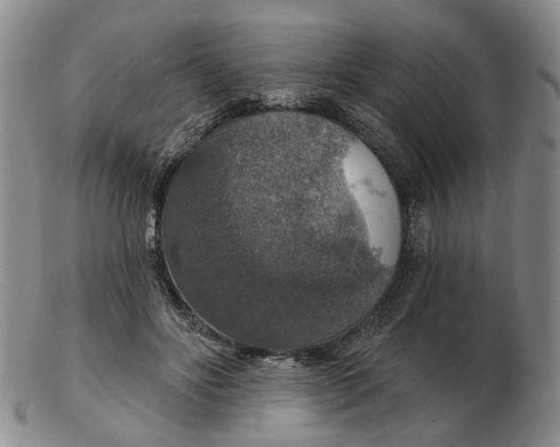 X0000102770502200809081008