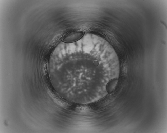 X0000102770503200809081008