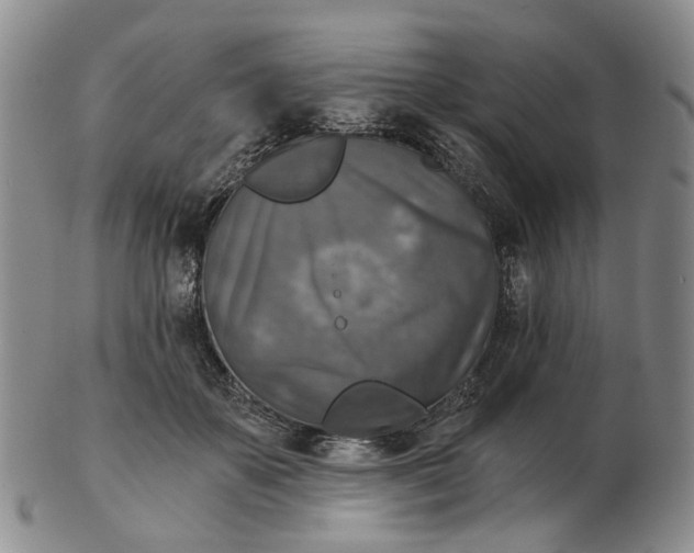 X0000102770507200809081008