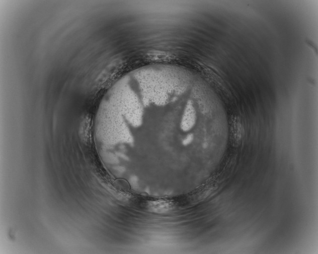 X0000102770511200809081008