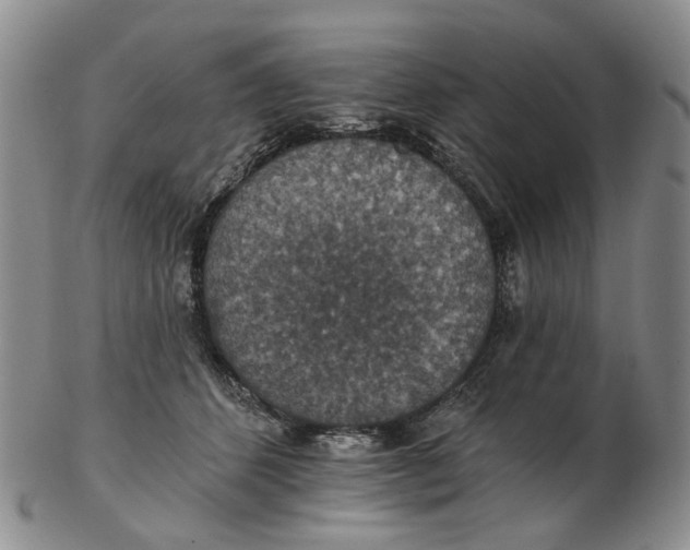 X0000102770512200809081008