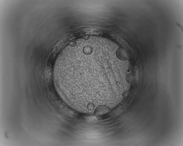 X0000102770513200809081008