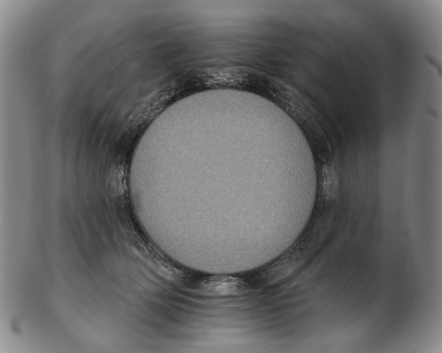 X0000102770514200809081008