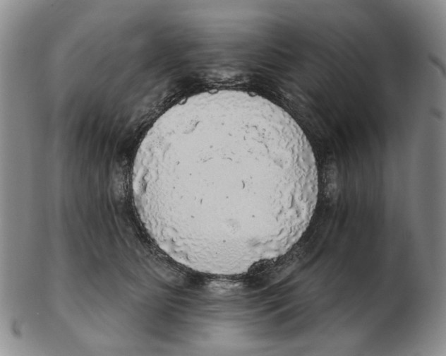 X0000102770515200809081008