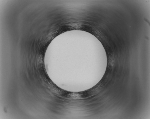 X0000102770518200809081007