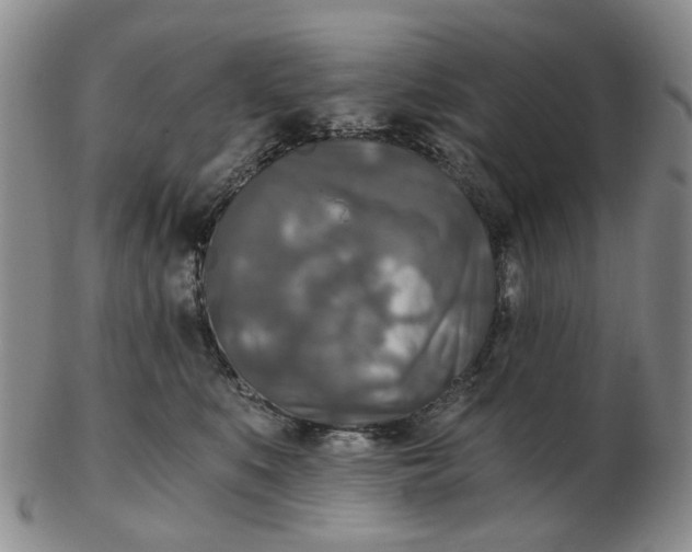 X0000102770519200809081007