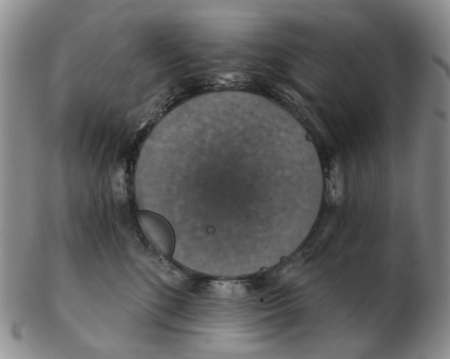 X0000102770520200809081007