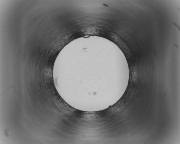 X0000102770521200809081007