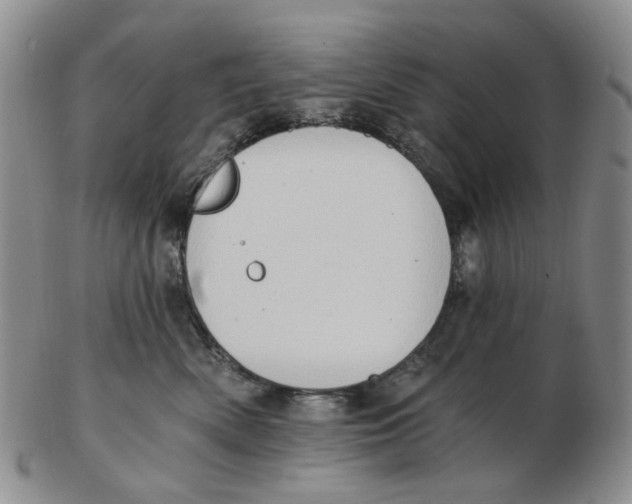 X0000102770522200809081007