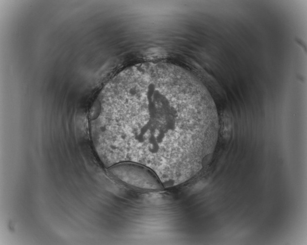 X0000102770523200809081007