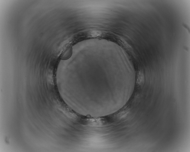 X0000102770524200809081007