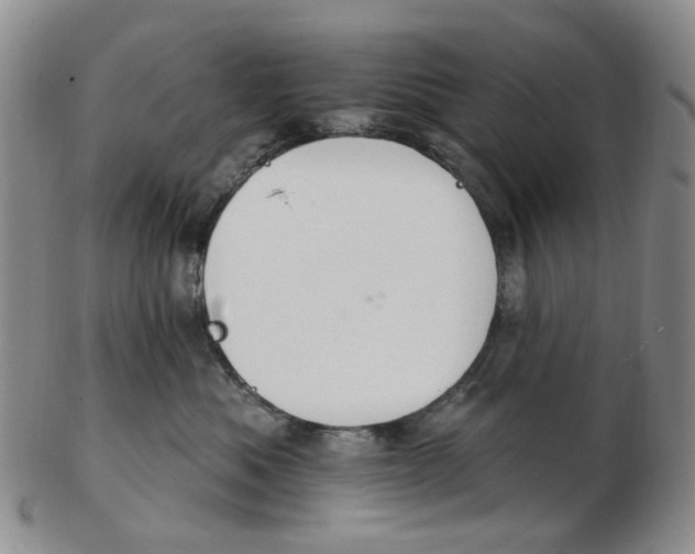 X0000102770525200809081007