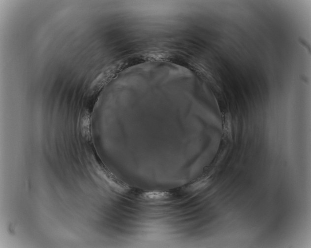 X0000102770526200809081007