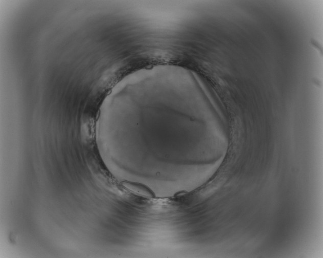 X0000102770528200809081007