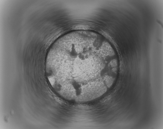 X0000102770529200809081007