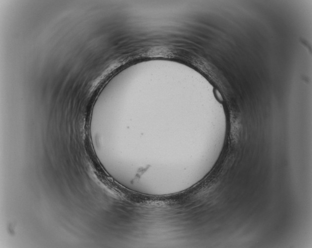 X0000102770530200809081007