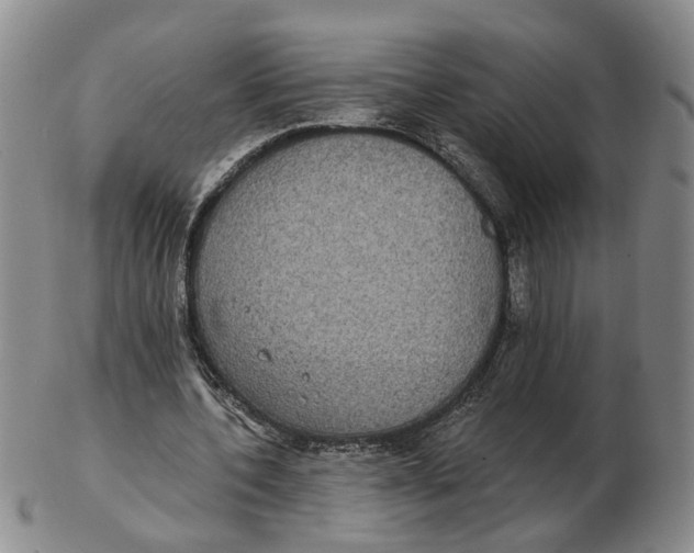 X0000102770532200809081007