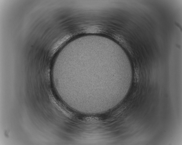 X0000102770535200809081007