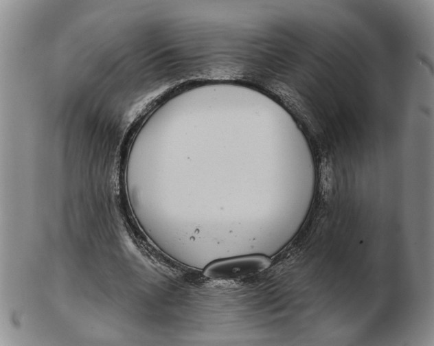 X0000102770536200809081007