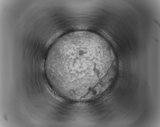 X0000102770537200809081007