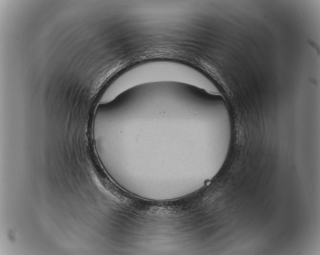 X0000102770538200809081007