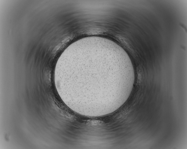 X0000102770539200809081007