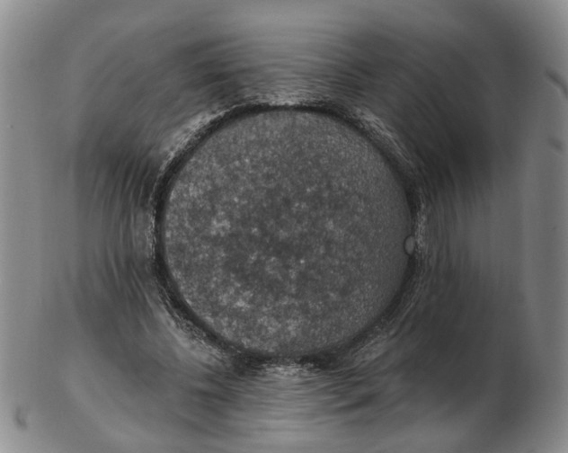 X0000102770540200809081007