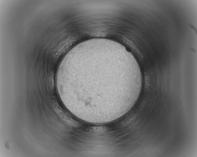 X0000102770541200809081007