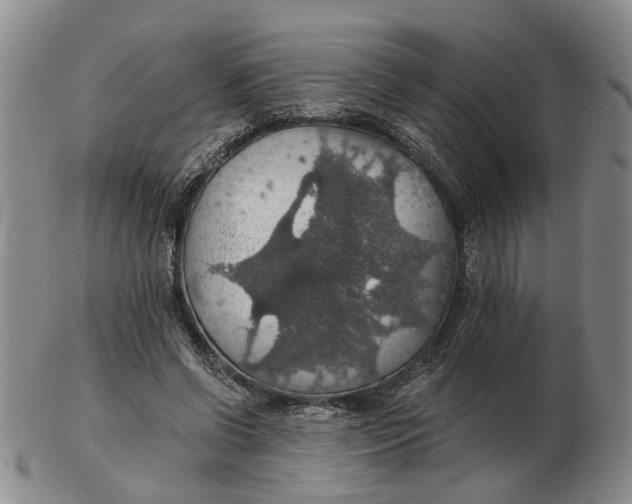 X0000102770542200809081007