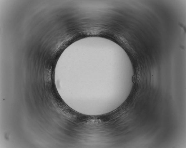 X0000102770543200809081007