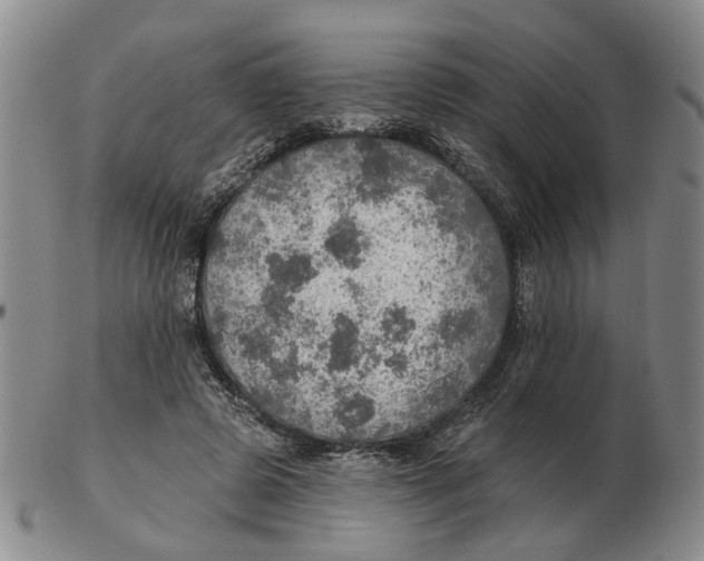 X0000102770545200809081007